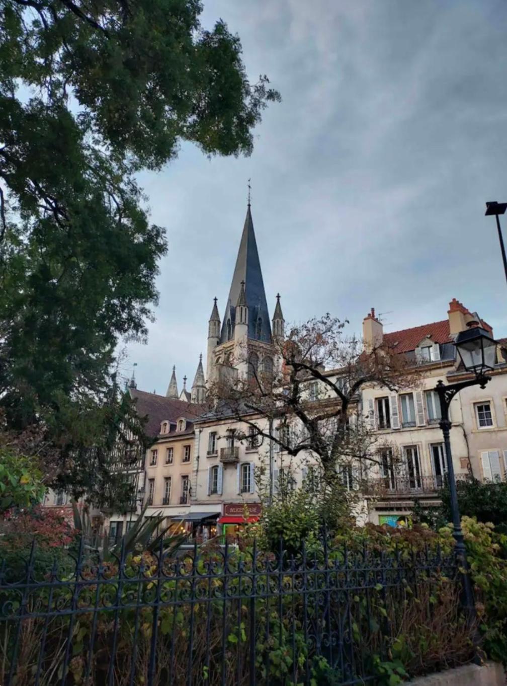 Le Charme Dubois Apartment Dijon Exterior photo